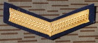 egi19s.jpg (43884 bytes)